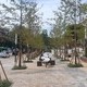 서대문구, 신촌역 자연친화 광장 재조성 